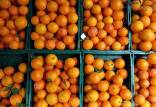 قیمت هویج و قیمت پرتقال در بازار,میوه های پاییزی