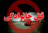 همسرکشی,قتل همسر توسط یک روحانی