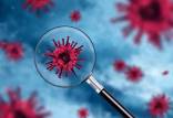ویروس کرونا,تغییرات متابولیکی در سلول های پلاسمای خون با کرونا