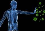 تقویت سیستم ایمنی,تاثیر پیاز و سیر در افزایش سیستم ایمنی بدن