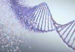 ژن درمانی جدید برای درمان سرطان و زوال عقل,درمان سرطان و زوال عقل با ژن درمانی