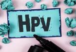 عفونت HPV,تاثیر عفونت HPV بر زایمان زودرس