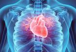کاهش خطر بیماری قلبی با زندگی در مناطق سرسبز,بیماری قلبی