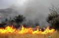 آتش سوزی در جنگل‌های کوه نیر بخش لوداب,آتش سوزی جنگلها در ایران