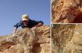 فسیل شتر,کشف فسیل شتر ۸ هزار ساله در عربستان