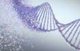 ژن درمانی جدید برای درمان سرطان و زوال عقل,درمان سرطان و زوال عقل با ژن درمانی