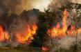 آتش سوزی در جنگل‌های منطقه گلیل و سرانی,جنگل های شیروان