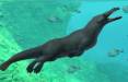 نهنگ,نهنگ ۴۳ میلیون ساله در مصر