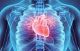 کاهش خطر بیماری قلبی با زندگی در مناطق سرسبز,بیماری قلبی