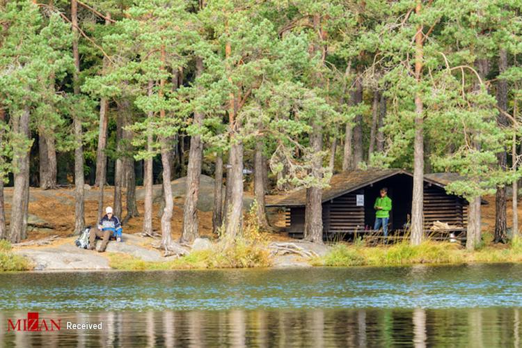 تصاویر پارک های سوئد,عکس های پارک ها در سوئد,تصاویر پارک های ملی سوئد
