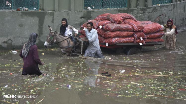 تصاویر باران و سیل در پاکستان,عکس های سیل در پاکستان,تصاویر خسارت سیل در پاکستان