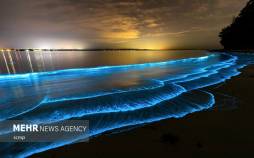 عکس های منتخب از طبیعت استرالیا,تصاویر طبیعت استرالیا,تصاویری از طبیعت استرالیا