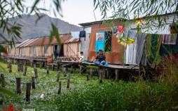 تصاویر دریاچه دال کشمیر,عکس هایی از دریاچه دال کشمیر,تصاویری از دریاچه دال