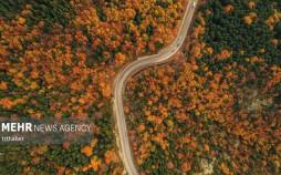 تصاویر جادوی رنگ‌های پاییزی,عکس های جاده,تصاویر جاده های پاییزی