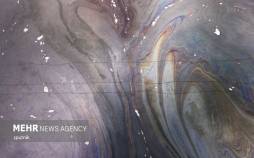 تصاویر آب ها و شن‌های سیاه کالیفرنیا,عکس های شن های سیاه کالیفرنیا,تصاویر آب های سیاه کالیفرنیا