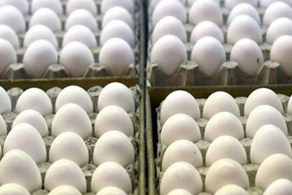 گرانی قیمت کالاهای اساسی,افزایش قیمت گوشت و تخم مرغ