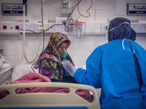 بیماری قارچ سیاه و کرونا, مقابله با ویروس کووید۱۹