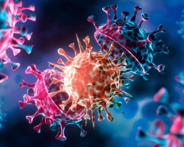 ویروس جدید x,گائو فو