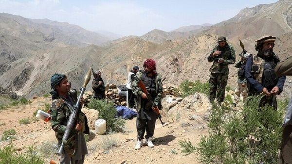 طالبان داخلی,حمایت اصولگرایان از طالابان داخلی