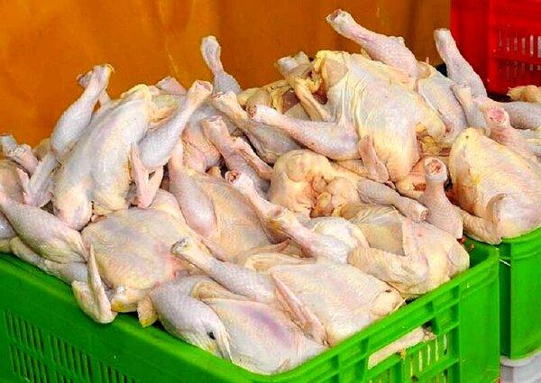 وعده های دولت رئیسی,کاهش قیمت مرغ و لبنیات