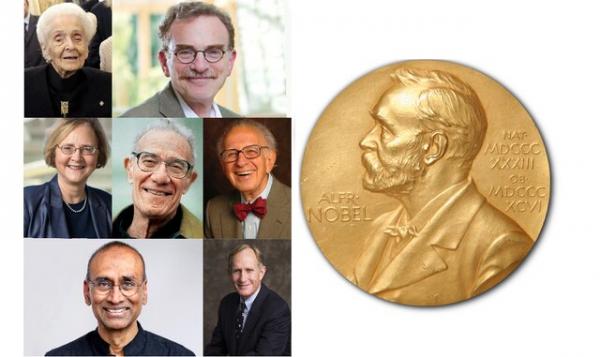 جایزه نوبل,کتاب زندگی نوبل