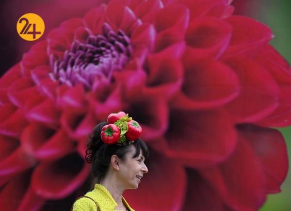 نمایشگاه گل چلسی در لندن,جشنواره گل در انگلیس