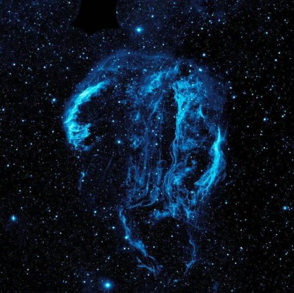 عکس روز ناسا,جمجمه فضایی یا عروس دریایی در فضا