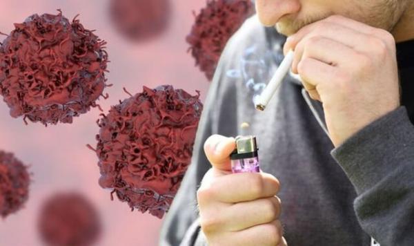 ویروس کرونا,مرگ افراد سیگاری بر اثر کرونا