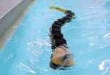 ربات شناگر,رباتی شناگر با الهام از ماهیان انگلی ۴۰۰ میلیون سال پیش