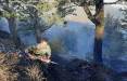 آتش‌سوزی شدید در درازنوی کردکوی,جنگل های کردکوی