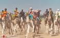 تصاویر مسابقه شتر سواری در صحرا,عکس هایی از مسابقه شتر سواری در صحرا,تصاویری از شتر سواری در نیجر