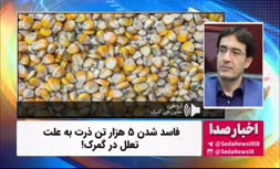 فیلم | فاسد شدن ۵ هزار تن ذرت به علت تعلل در گمرک