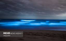 تصاویر ساحلی درخشان به رنگ آبی جادویی,عکس های ساحل آبی رنگ,تصاویری از سواحل آبی در استرالیا