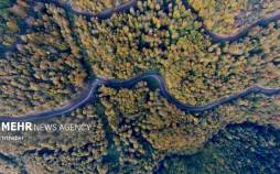 تصاویر پاییز رنگارنگ در ترکیه,عکس های پاییز در تریکه,تصاویری از پاییز ترکیه