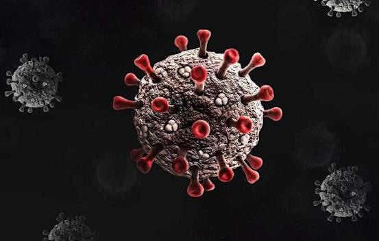 تزریق دز بوستر به کل جامعه,خودکشی ویروس کرونا