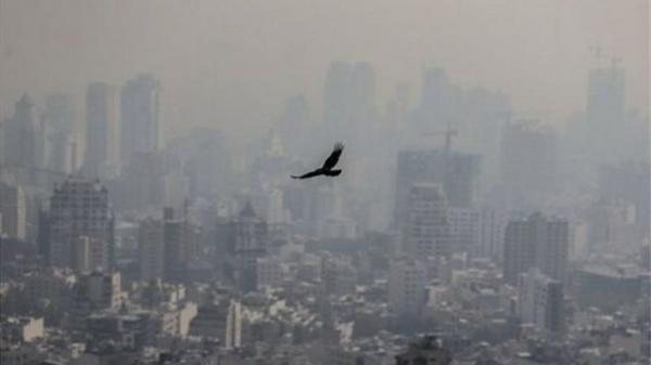 فاجعه آلودگی هوا,سازمان بازرسی