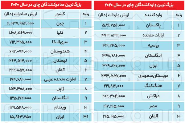 تبدیل باغهای چایی به ویلا,ویلاسازی در باغهای چایی