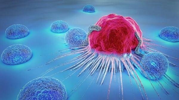 احتمال درمان سرطان با مهار فعالیت یک آنزیم,درمان سرطان