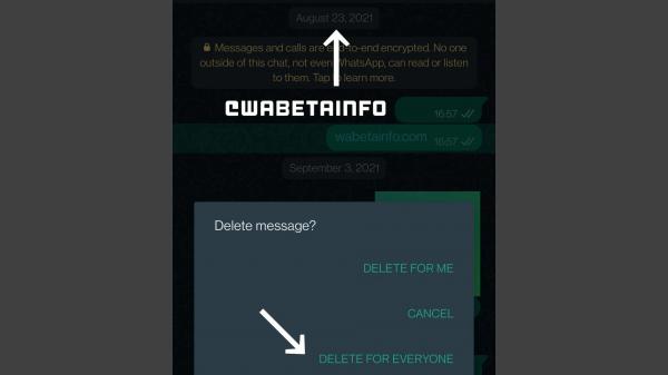 واتساپ,حذف پیام‌های موجود در واتساپ