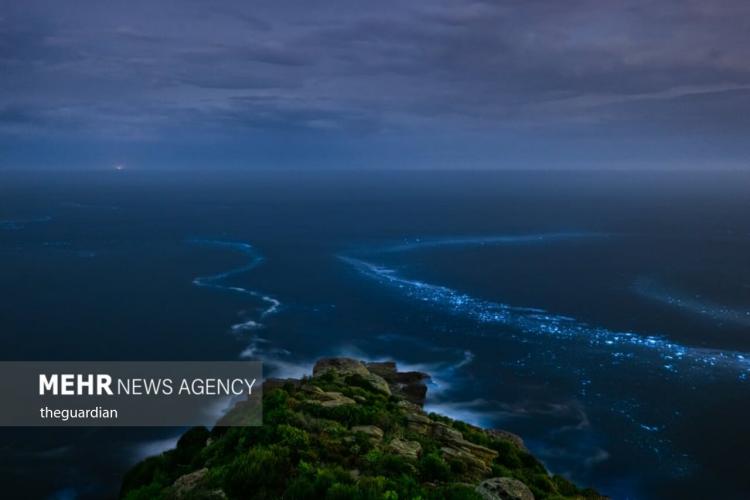 تصاویر ساحلی درخشان به رنگ آبی جادویی,عکس های ساحل آبی رنگ,تصاویری از سواحل آبی در استرالیا