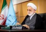 حجت الاسلام والمسلمین محسنی اژه‌ای,قوه قضائیه