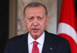 رجب طیب اردوغان,رئیس جمهور ترکیه
