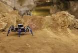 ربات,رباتی برای کاوش غارهای باستانی