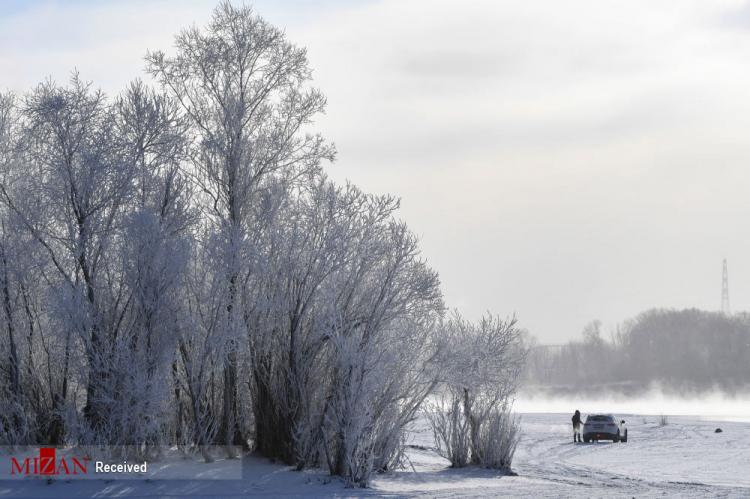 تصاویر برف پاییزی در روسیه,عکس های بارش برف در روسیه,تصاویری از بارش برف در کشور روسیه