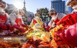 تصاویر جشنواره بزرگ تهیه خوراک کیمچی در کره جنوبی,عکس های جشنواره بزرگ تهیه خوراک کیمچی,تصاویری از جشنواره کیمچی در کره جنوبی