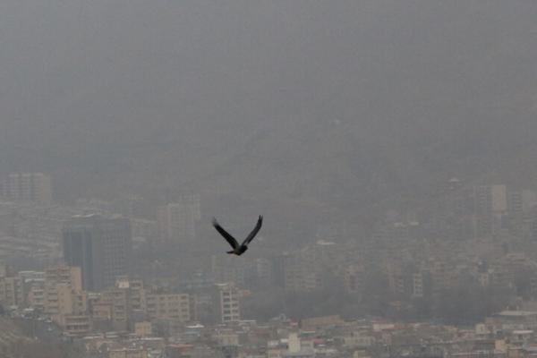 هوای تهران,رییس گروه سلامت هوا و تغییر اقلیم وزارت بهداشت