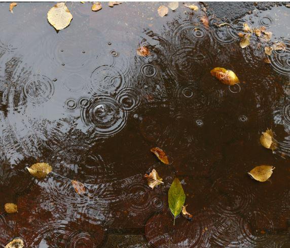 پیش بینی وضع هوا,پیش بینی وضع هوا (1400/09/15)