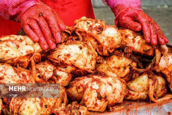 جشنواره تهیه خوراک کیمچی,کره جنوبی