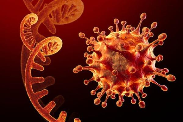ویروس کرونا,احتمال ابتلای واکسن‌نزده‌ها و مبتلایان قبلی کرونا به اُمیکرون