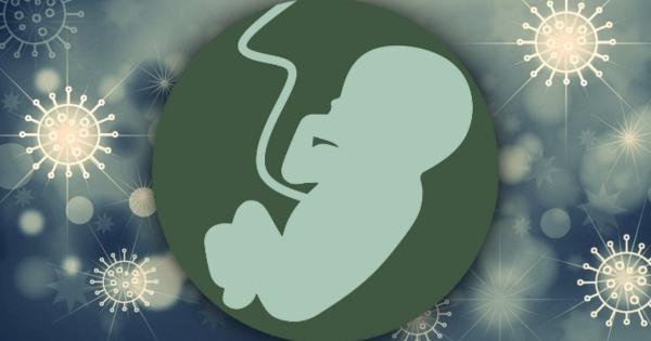 خطر ابتلای جنین به کووید ۱۹ از طریق مادر کرونایی,ابتلای جنین به کرونا